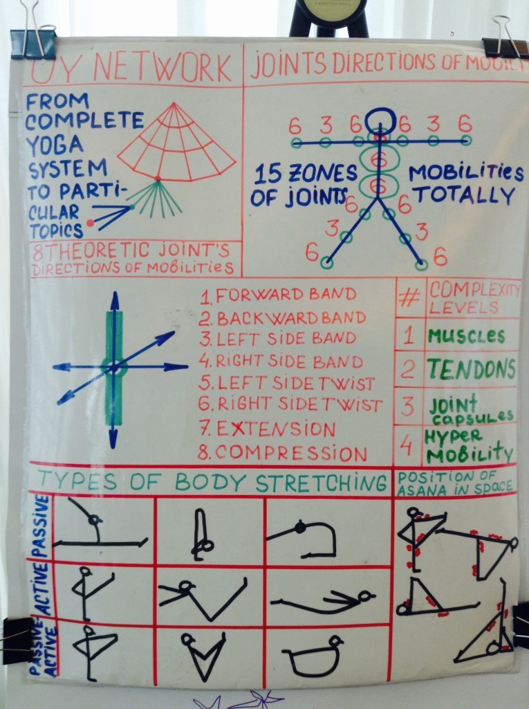Joint Mobility & Complexity Levels
